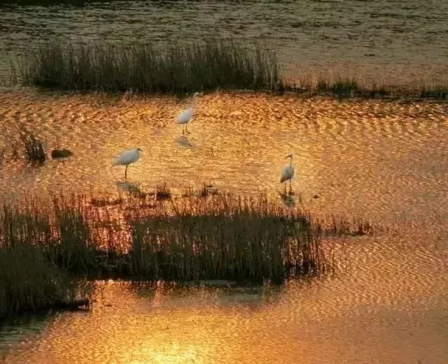 深圳旅游五日游景点推荐,深圳五一游玩线路汇总