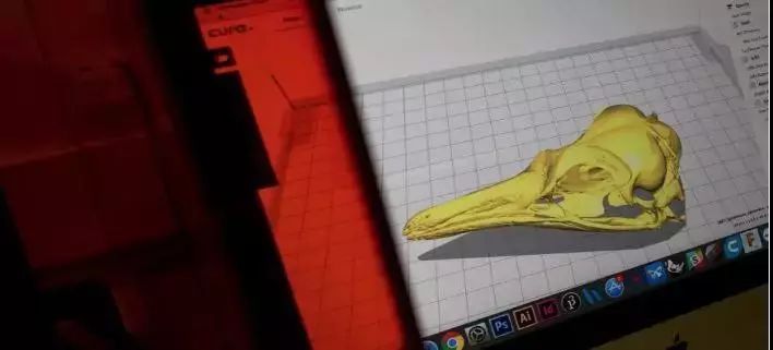 鸿雁知天下新闻早餐2018年2月5日 (鸿雁知天下新闻早餐2018年2月13日)