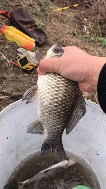 冬季长竿短线怎么选位,野钓长竿短线技巧和方法