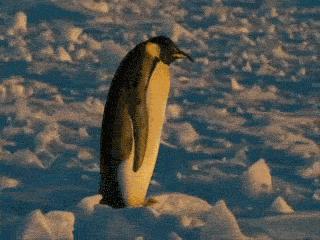 “你就别这么小气了，反正你有钱”