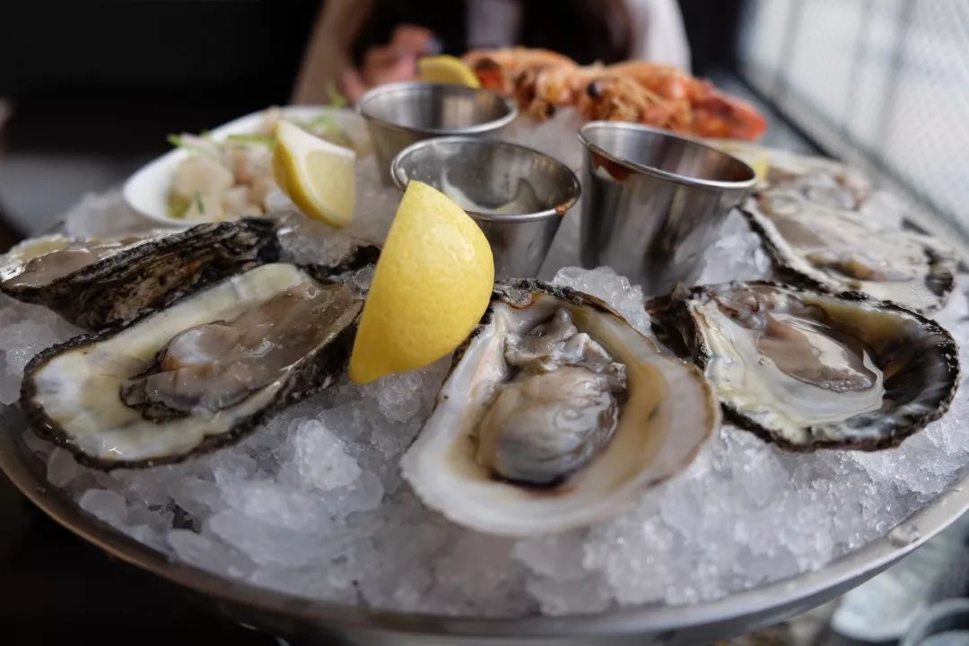 蚝情万丈,蚝情万丈图片