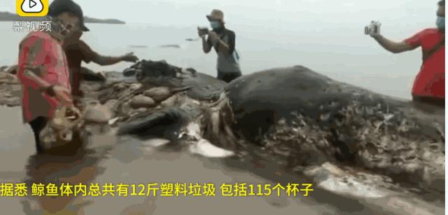 星巴克吸管缺点,星巴克吸管降解能用多少年