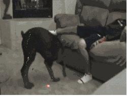 笑一笑，心情好；笑一笑，烦恼消；看完后朋友们开口大笑吧