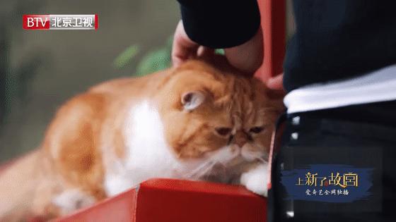 故宫还能穿娘娘服进去吗,故宫可以做好娘娘造型进去吗