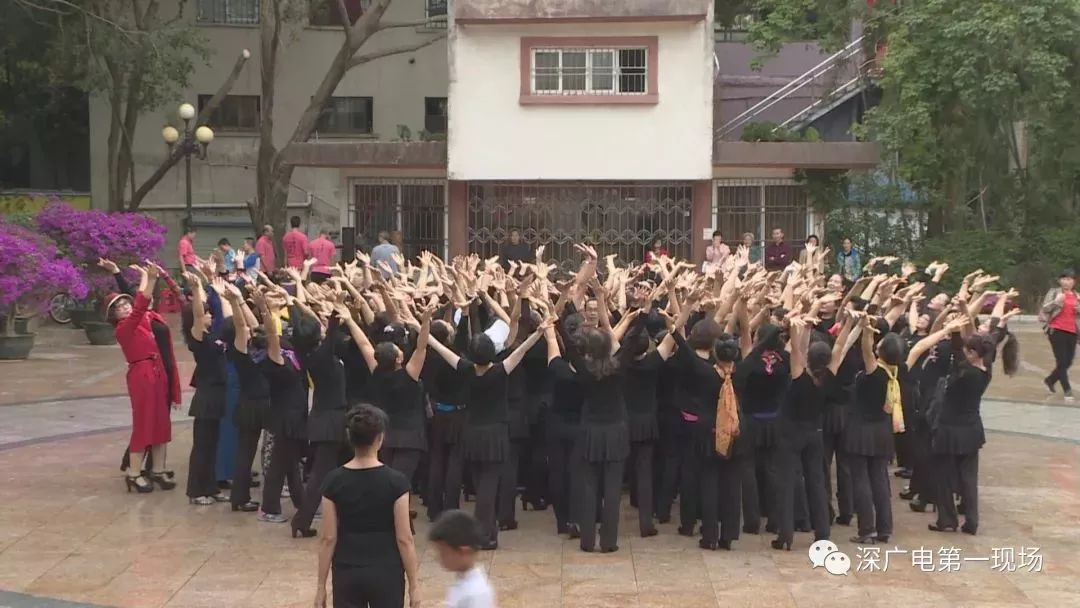 深圳东湖公园菊花展结束,深圳东湖公园菊花展延期