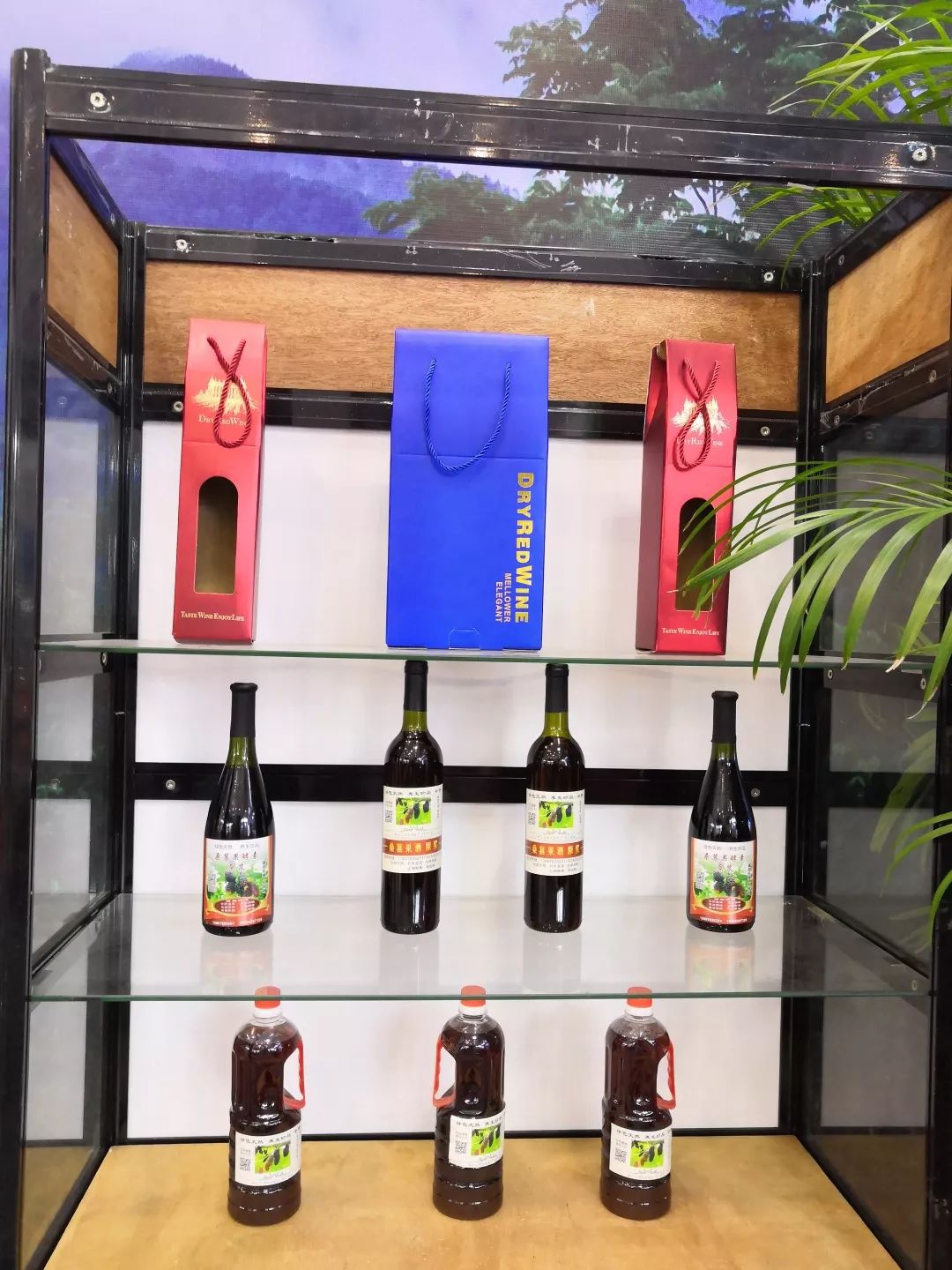 琼中特产,琼中旅游特产推荐