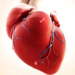 华西医院无导线心脏起搏器多少钱,人工心脏植入四川首例