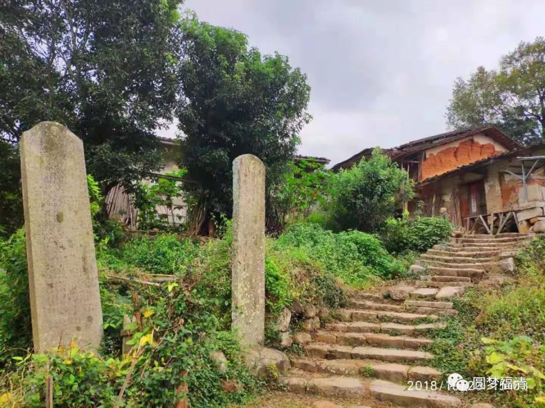 看一眼就忘不掉电影,看一眼一辈子都忘不掉的视频