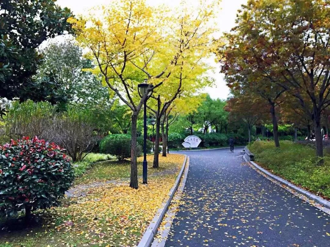 满城尽带黄金甲最美画面,满城尽带黄金甲拍摄地风景