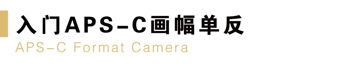 尼康值得入门的单反相机推荐,尼康最新款单反相机d780和d850