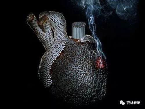 「杏林微科普」带您了解吸烟的危害~