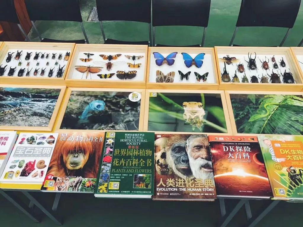 这么多大师，你打算带哪个回家？