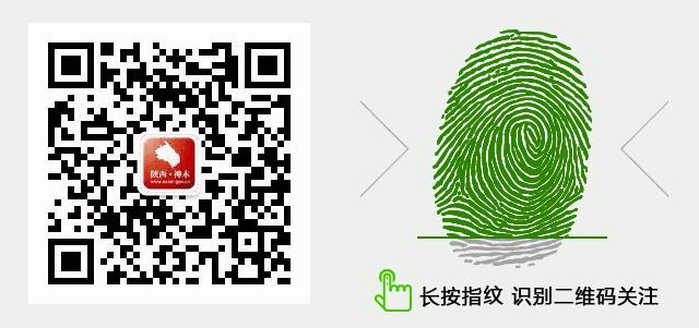 【厉害】神木黑豆“靓装”走向全国！