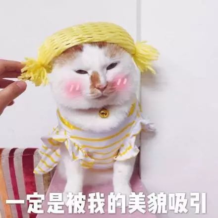 不用化妆也能变美的护肤品,不用剁手好物