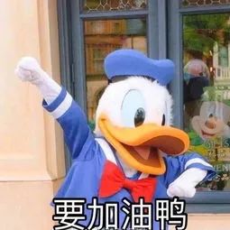 深圳公租房申请审核要6-12个月吗,深圳公租房安居房未来5-10年政策