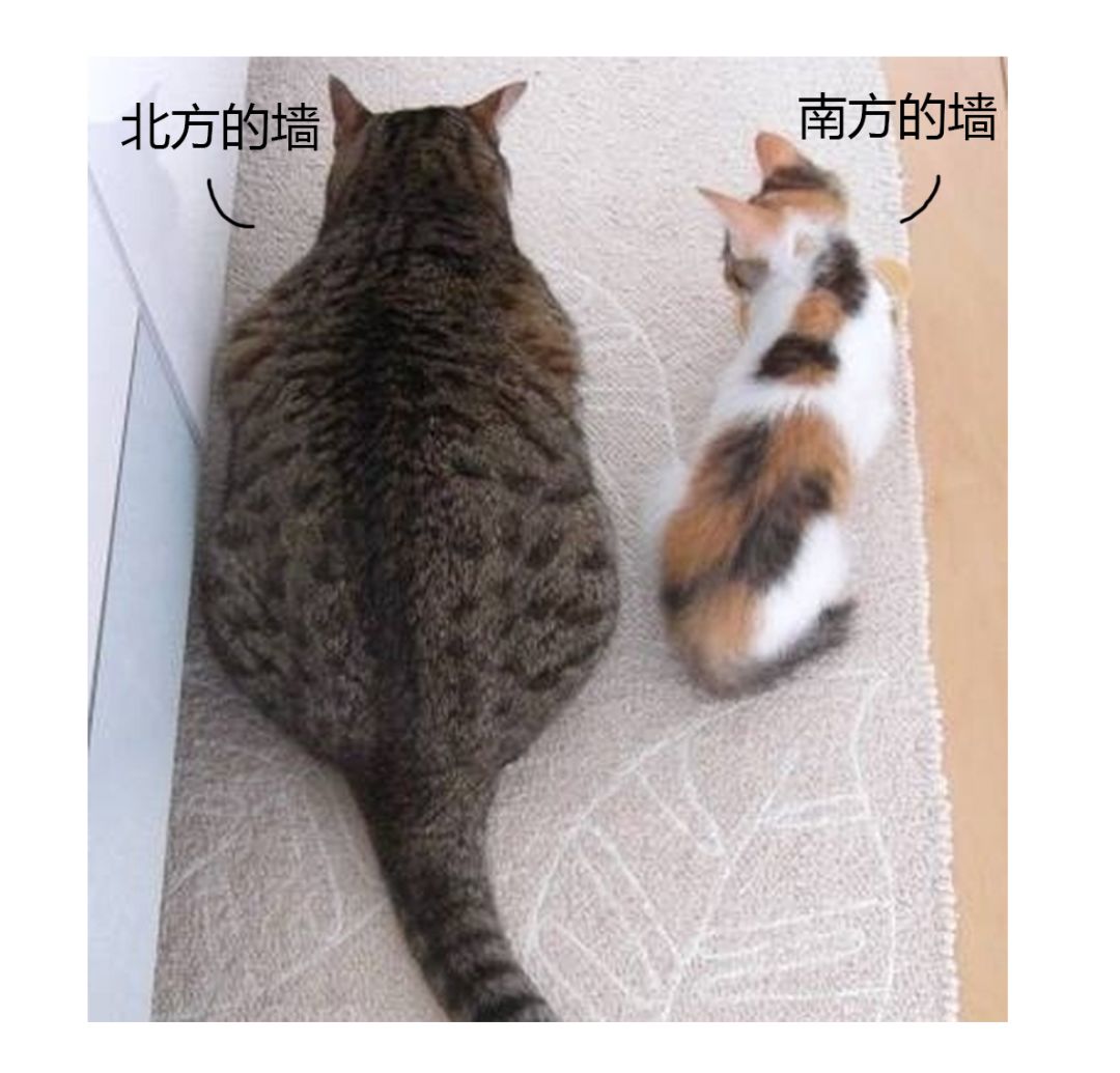 暖气里面有气为何就不热,暖气里有没有气怎么知道