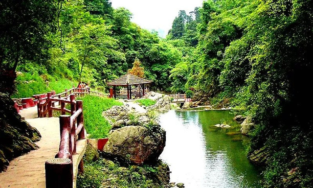 成都周边野花,成都周边花谷景区推荐
