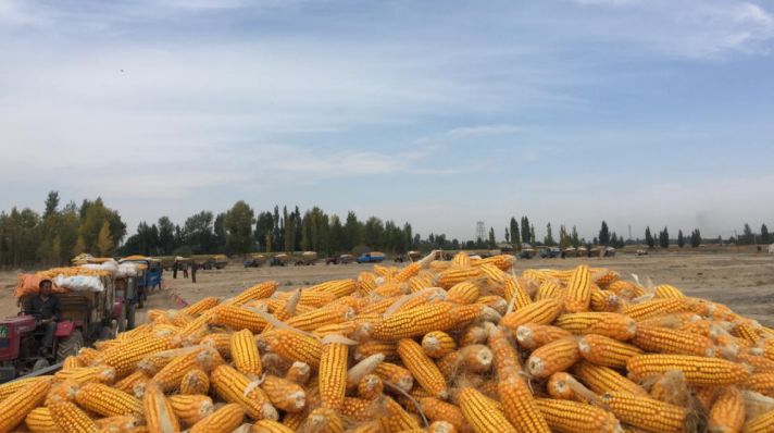 学会这个公式你也可以月翻十倍,学会这个公式你也能写出爆款文案