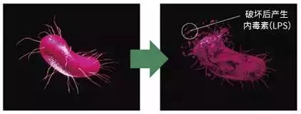 闭着嘴巴一直有口水,闭着嘴巴往外呼气的时候有臭味