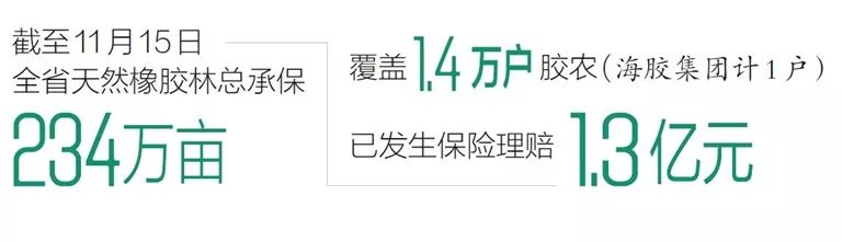 海南人“保护橡胶树”小游戏来了!看你能打多少分?你还会有这些收获……