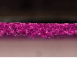 防止职业打假人,如何避免职业打假人员举证