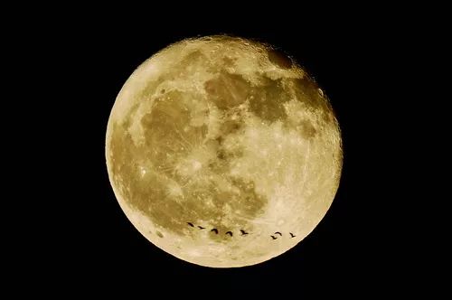 这个厦门人“追星”60年!用鼓浪屿和厦门二中命名了两颗星~