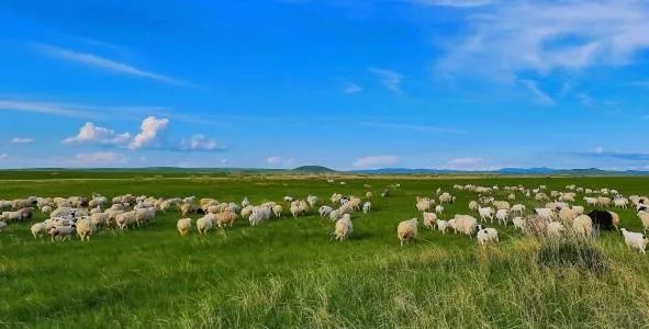 西宁出发特价机票,5月份去西宁的低价机票