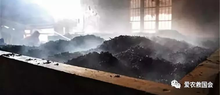 微生物跟酒有什么关系,哪种微生物参与黑茶