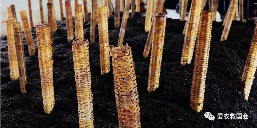 微生物跟酒有什么关系,哪种微生物参与黑茶