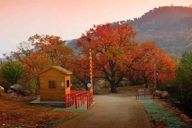 泰山登山证能去哪些地方免费,爬泰山什么证件可以免费