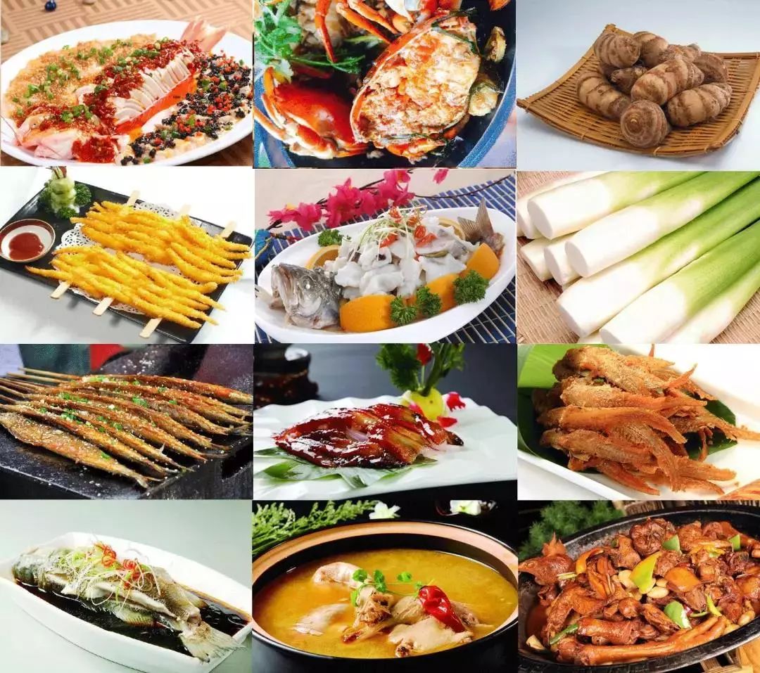 上海浦江郊野公园春节开放吧,上海浦江郊野公园一日游攻略大全