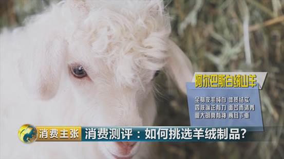 羊绒衫领发黄怎样清洗才正确,学会这一招清洗得干干净净