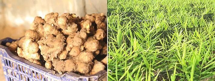 冬日温暖的记忆,冬日暖心的记忆