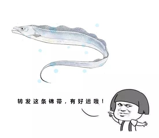 还在等什么！中国·普陀“舟山带鱼”宴寻找“锦带”！超多大奖独宠你一人！