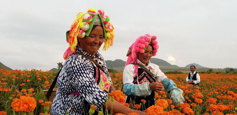蒙自哪些景区值得去玩的,蒙自最美古镇在哪里