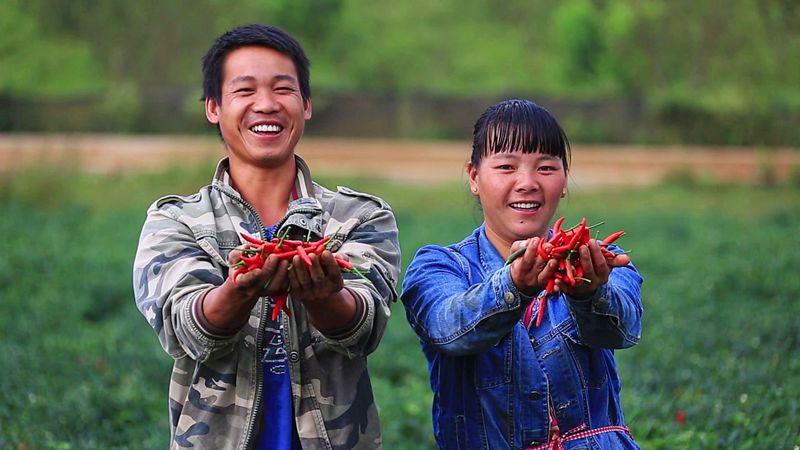 蒙自的城市风光,蒙自最美风光