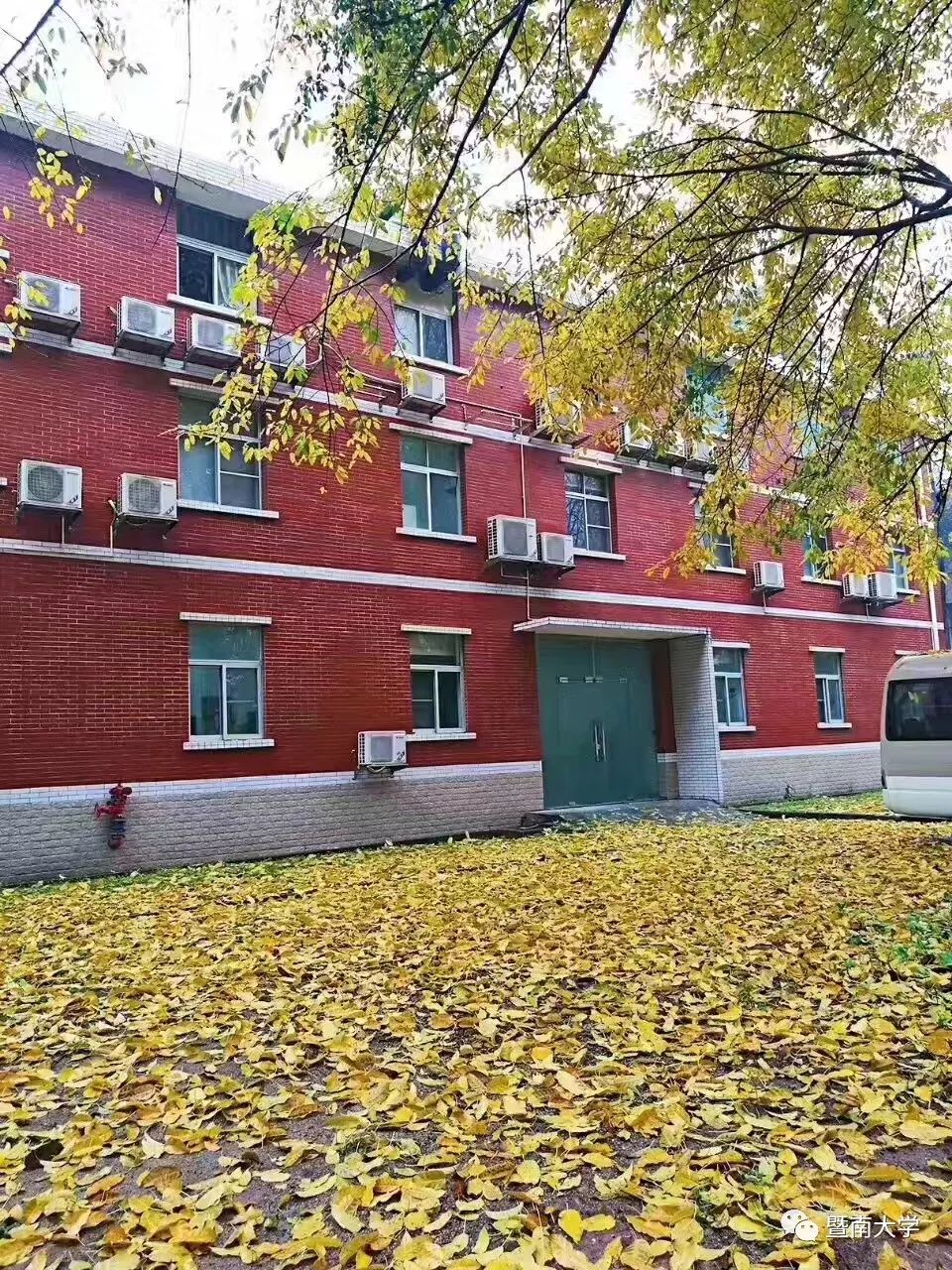 盘点那些美丽的校园时光,盘点那些美丽的校园