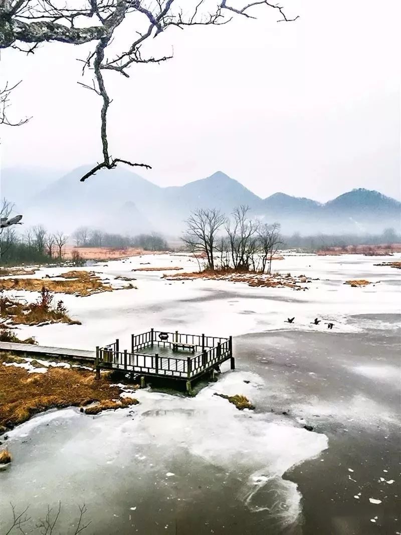 神农架国际滑雪场今日雪况,神农架滑雪场周末攻略