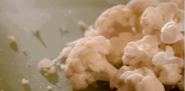 担心!这家哈达店的菜花紫甘蓝,那家地利生鲜的韭菜,还有这些家的菠菜油菜老黄瓜……丨13批次菜肉抽检腐霉利、毒死蜱检出不合格