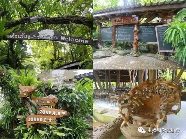 「泰国尊享6日之旅」泰国将实行为期2个月的落地签免费政策，有计划去泰国旅游的朋友快快行动吧