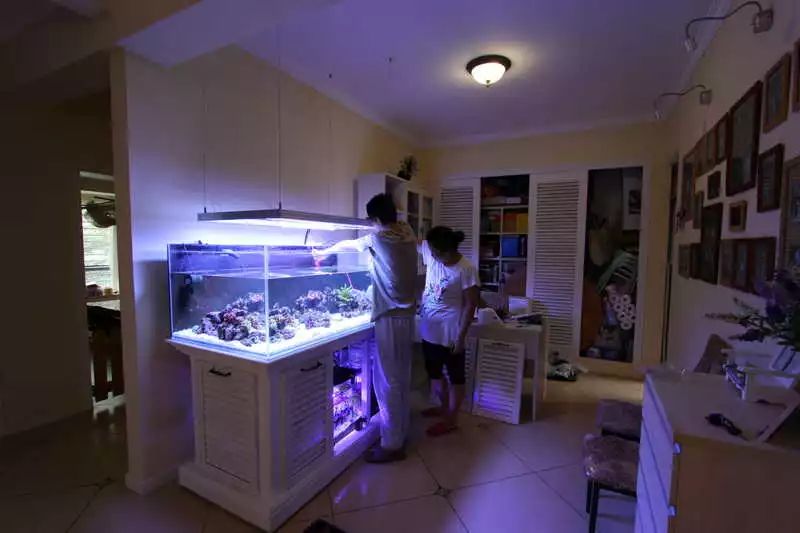 60海缸开缸全记录,1.2米的海缸开缸需要多少费用