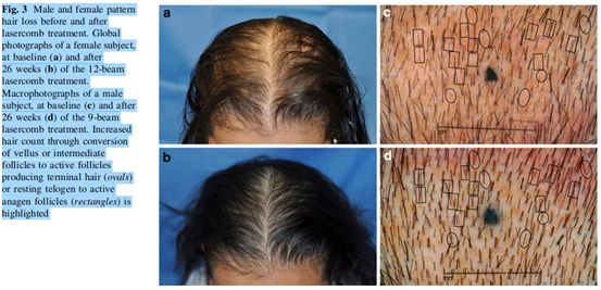 新「神雕」要拍了，你知道郭襄背后那些不可告人的抗元故事吗？