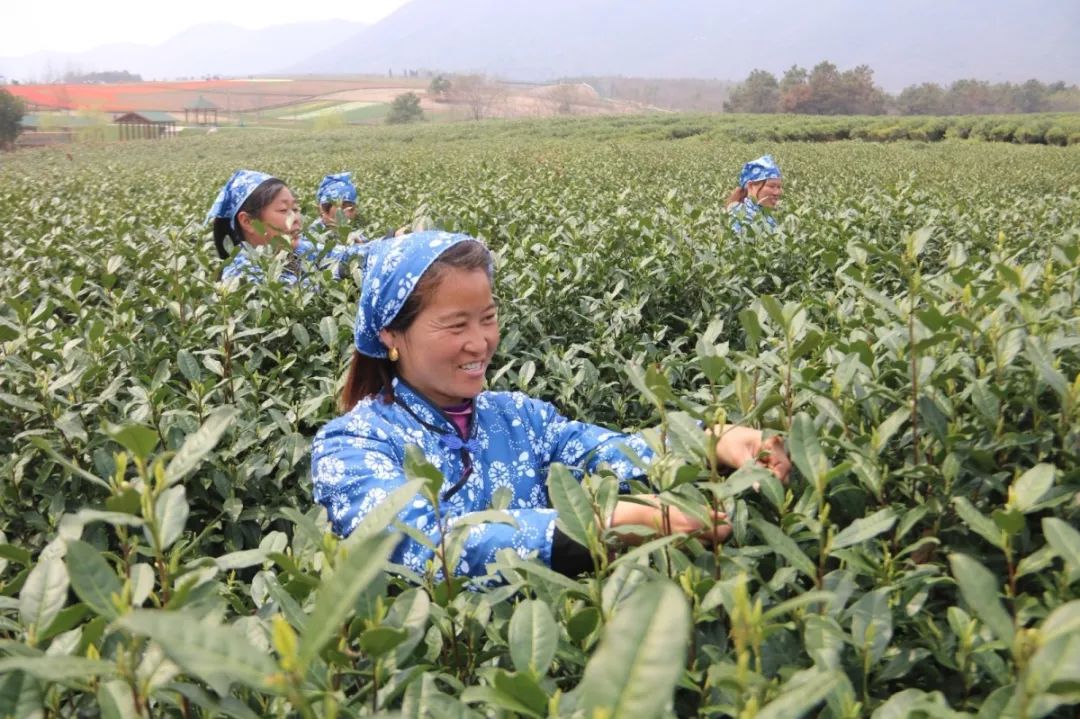 马鞍山的发展变化文字记录,改革开放四十年来马鞍山的变化