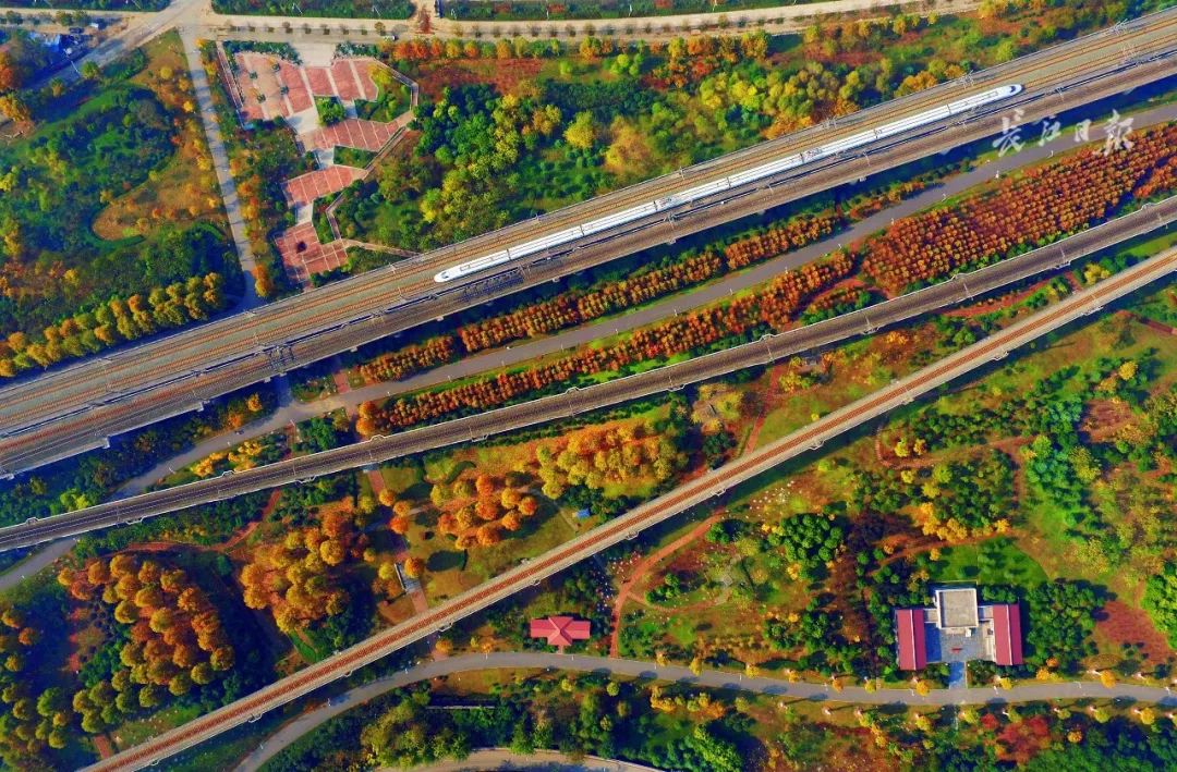 天呐!武汉这个区开挂了!反正我是羡慕了!