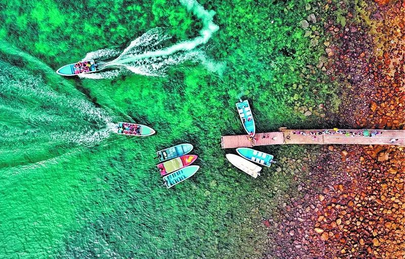 入展作品欣赏,入展作品展示