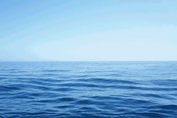 厦门旅游攻略自由行三天两夜厦门,厦门游玩的攻略5天自由行