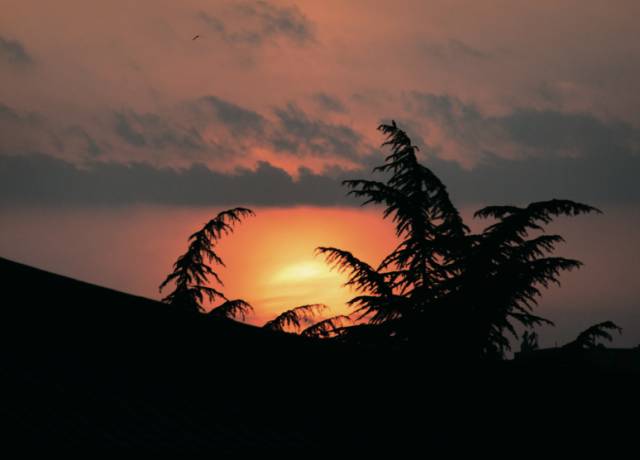 拍照模糊的方法是什么,拍照模糊怎么处理才能变清晰