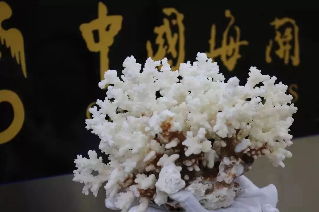 去香港怎么带东西不会被罚,出境香港禁止带什么东西