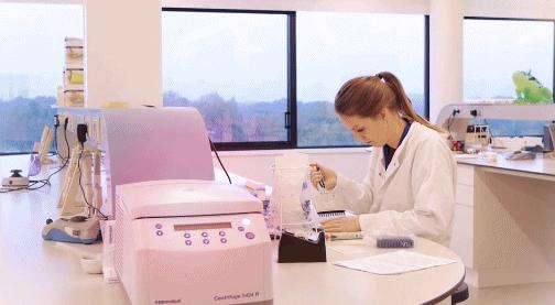 她一出生就是网红！从400名对手中脱颖而出，被千亿大佬选中！据说全世界的孩子都离不开她！