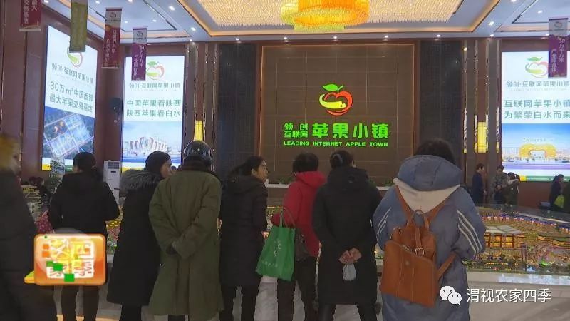 互联网苹果小镇接待中心,白水互联网苹果小镇招商直播